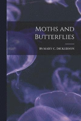 Moths and Butterflies 1