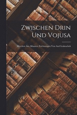 bokomslag Zwischen Drin Und Vojusa