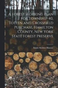 bokomslag A Forest Working Plan for Township 40, Totten and Crossfield Purchase, Hamilton County, New York State Forest Preserve