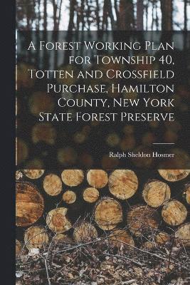 bokomslag A Forest Working Plan for Township 40, Totten and Crossfield Purchase, Hamilton County, New York State Forest Preserve