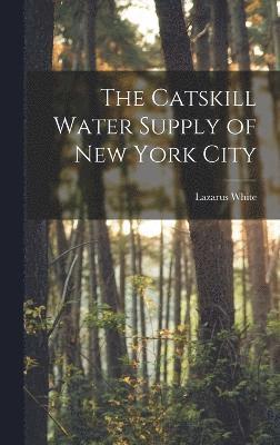 bokomslag The Catskill Water Supply of New York City