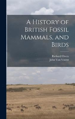 bokomslag A History of British Fossil Mammals, and Birds