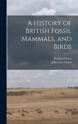 bokomslag History of British Fossil Mammals, and Birds