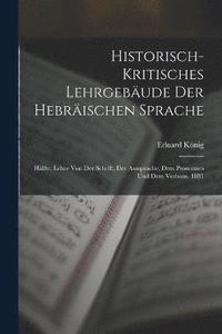 bokomslag Historisch-Kritisches Lehrgebude Der Hebrischen Sprache