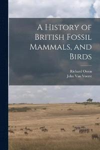 bokomslag A History of British Fossil Mammals, and Birds