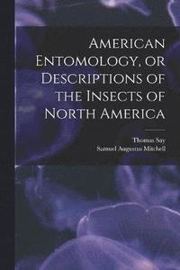 bokomslag American Entomology, or Descriptions of the Insects of North America