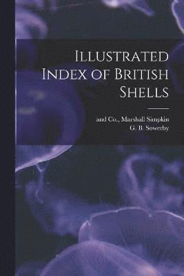 Illustrated Index of British Shells 1