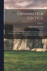 bokomslag Grammatica Celtica