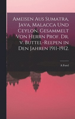 bokomslag Ameisen aus Sumatra, Java, Malacca und Ceylon. Gesammelt von Herrn Prof. Dr. v. Buttel-Reepen in den Jahren 1911-1912.