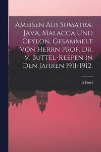 bokomslag Ameisen aus Sumatra, Java, Malacca und Ceylon. Gesammelt von Herrn Prof. Dr. v. Buttel-Reepen in den Jahren 1911-1912.