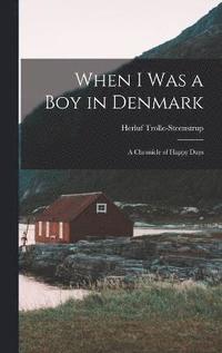 bokomslag When I was a boy in Denmark
