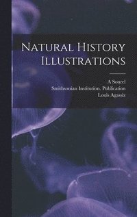 bokomslag Natural History Illustrations