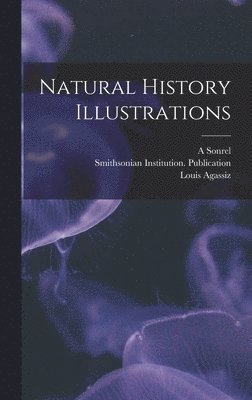 Natural History Illustrations 1