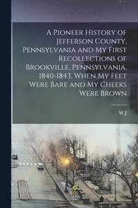 bokomslag A Pioneer History of Jefferson County, Pennsylvania and my First Recollections of Brookville, Pennsylvania, 1840-1843, When my Feet Were Bare and my Cheeks Were Brown