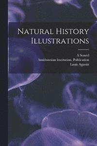 bokomslag Natural History Illustrations