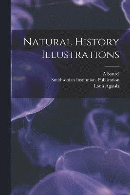 Jesse Walter Fewkes, Louis Agassiz, A Sonrel, A. Sonrel - Natural History Illustrations, Häftad