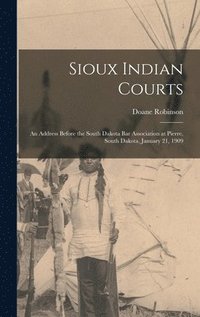 bokomslag Sioux Indian Courts