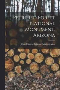 bokomslag Petrified Forest National Monument, Arizona