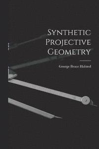 bokomslag Synthetic Projective Geometry