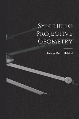 Synthetic Projective Geometry 1