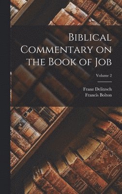 bokomslag Biblical Commentary on the Book of Job; Volume 2