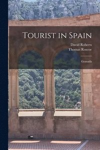 bokomslag Tourist in Spain