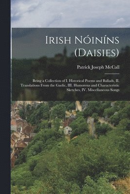 Irish Nóiníns (daisies)