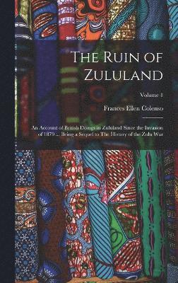 bokomslag Ruin of Zululand