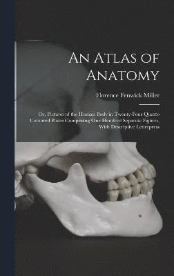 bokomslag Atlas of Anatomy