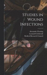 bokomslag Studies in Wound Infections