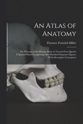 bokomslag An Atlas of Anatomy