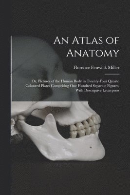 bokomslag Atlas of Anatomy