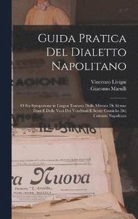 bokomslag Guida Pratica Del Dialetto Napolitano