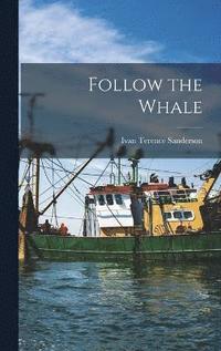 bokomslag Follow the Whale
