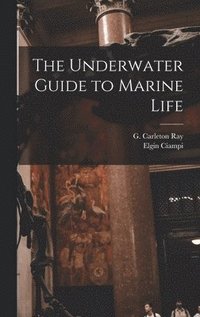 bokomslag The Underwater Guide to Marine Life