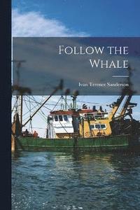 bokomslag Follow the Whale