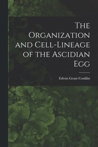 bokomslag The Organization and Cell-lineage of the Ascidian Egg