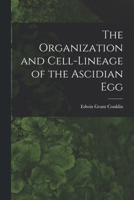 The Organization and Cell-lineage of the Ascidian Egg 1