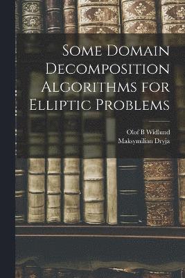 bokomslag Some Domain Decomposition Algorithms for Elliptic Problems