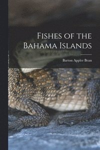 bokomslag Fishes of the Bahama Islands