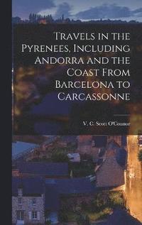 bokomslag Travels in the Pyrenees, Including Andorra and the Coast From Barcelona to Carcassonne