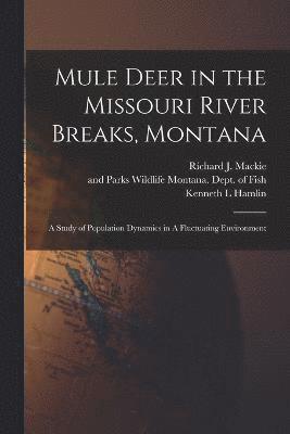 Mule Deer in the Missouri River Breaks, Montana 1