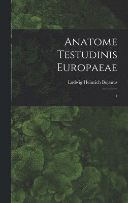 bokomslag Anatome testudinis Europaeae