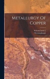 bokomslag Metallurgy Of Copper