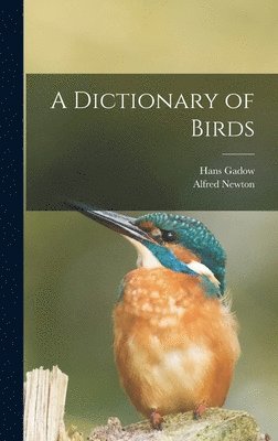 A Dictionary of Birds 1