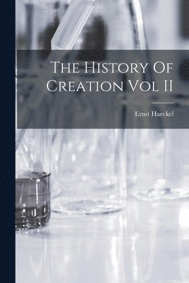 bokomslag The History Of Creation Vol II