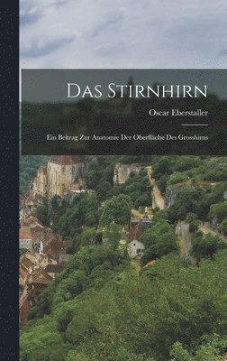 bokomslag Stirnhirn; Ein Beitrag Zur Anatomie Der Oberfläche Des Grosshirns