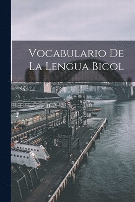 bokomslag Vocabulario De La Lengua Bicol