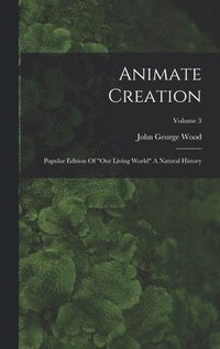 bokomslag Animate Creation