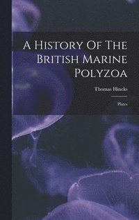 bokomslag A History Of The British Marine Polyzoa